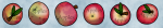 normal apples.png